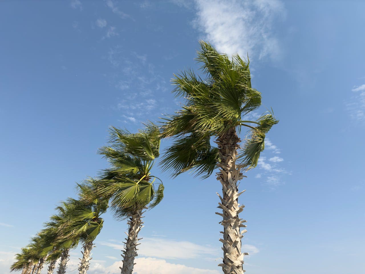 Klimatas Antalijoje Turkijoje